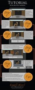 Infographic: blackfotografie paarden how-to